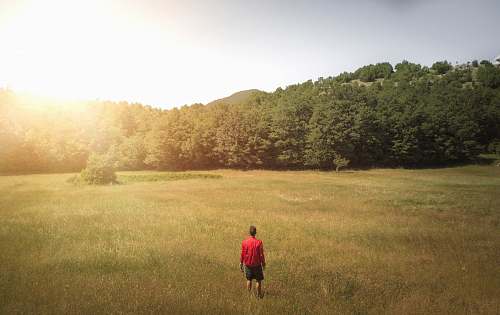 sun flare man wearing red shirt standing on grass field standing